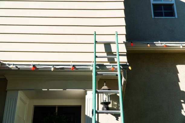 Best Vinyl Siding Installation  in Canadian Lakes, MI