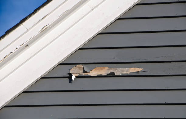  Canadian Lakes, MI Siding Installation Pros